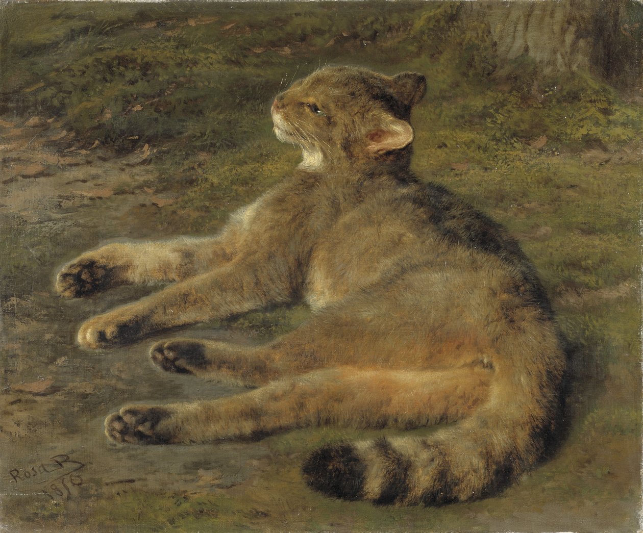 Dziki kot, 1850 autorstwa Rosa Bonheur