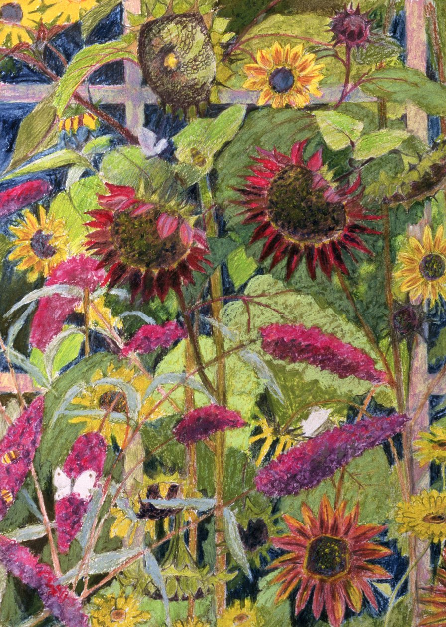 Kwiaty Słońca (olej i pastel na papierze) autorstwa Rosalie Bullock