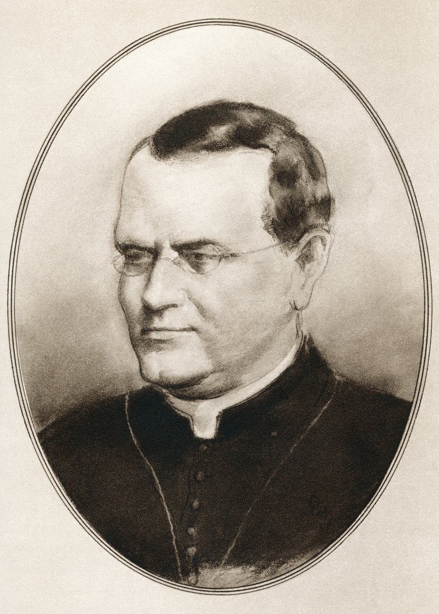Gregor Johann Mendel, z „Żywych biografii wielkich naukowców” autorstwa Ross Gordon