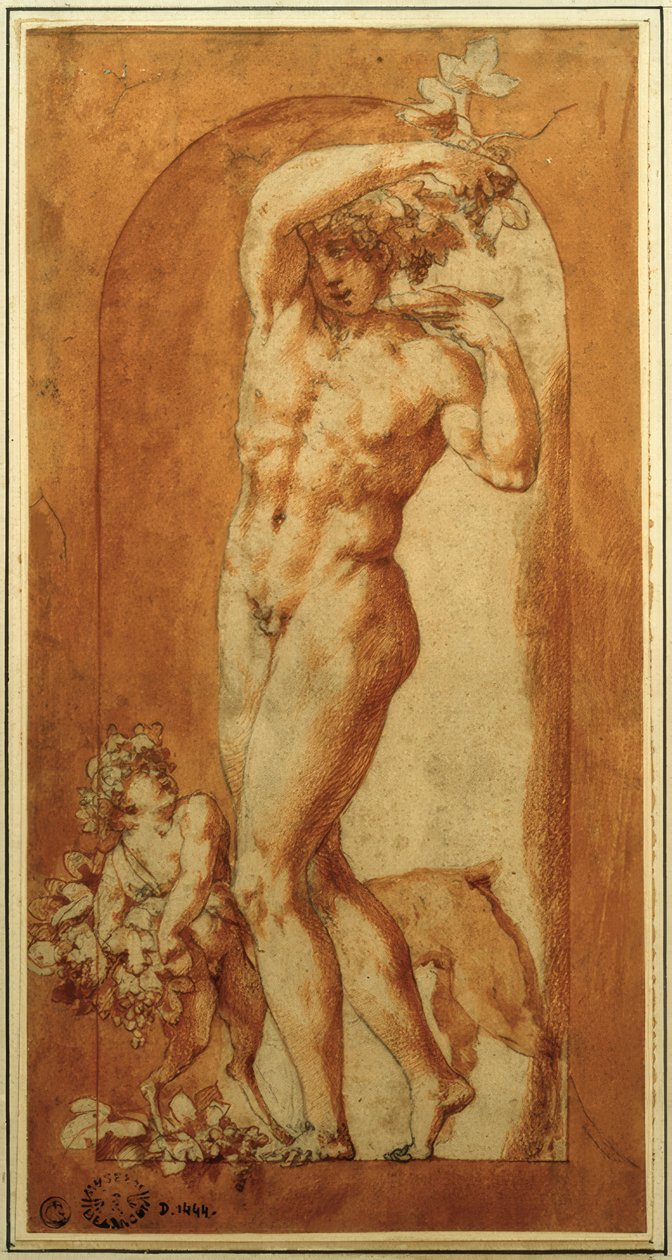 Bacchus in Nische autorstwa Rosso Fiorentino