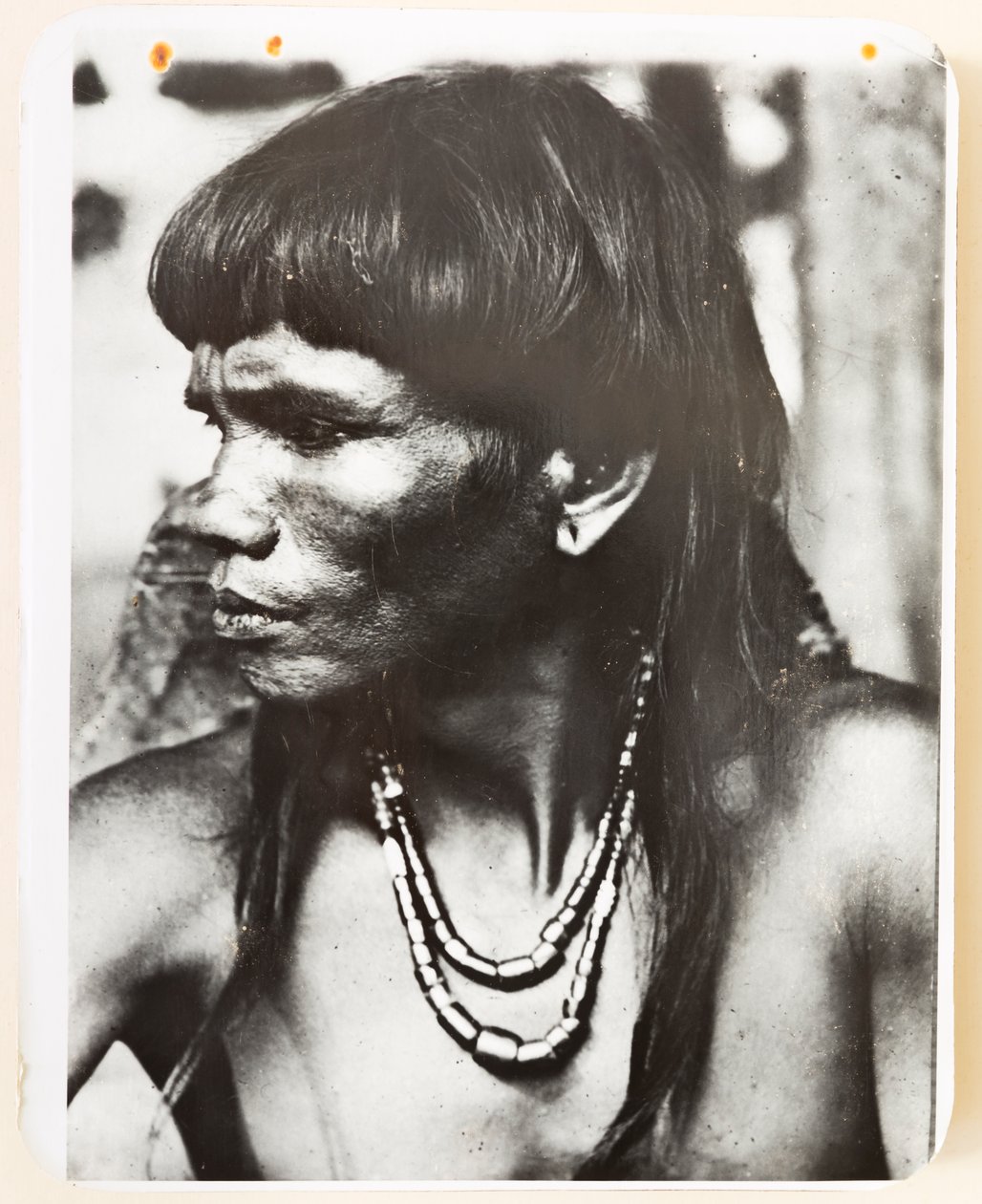 Ifugao z wioski Pindungan, 1919 r. (zdjęcie czarno-białe) autorstwa Roy Barton
