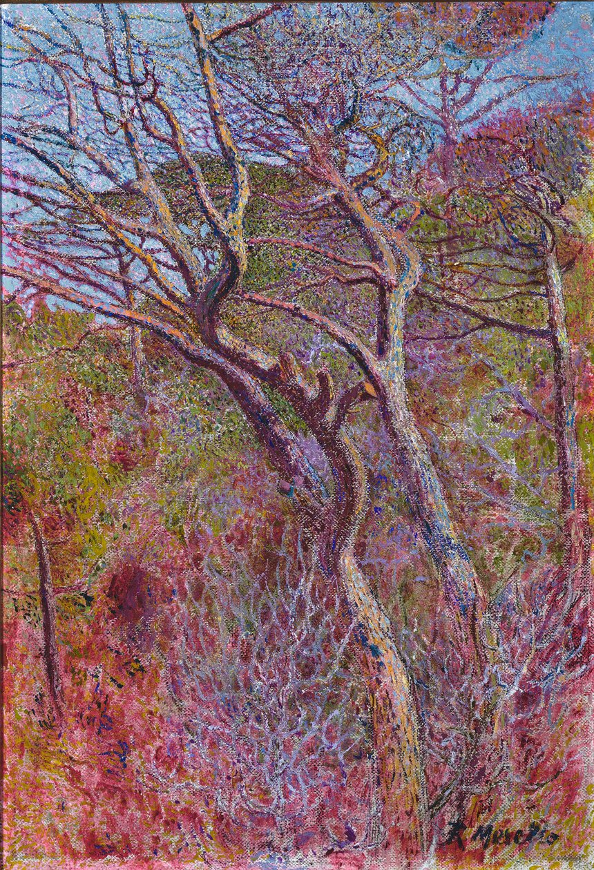 Pejzaż, Studio, ok. 1907 autorstwa Rubaldo Merello