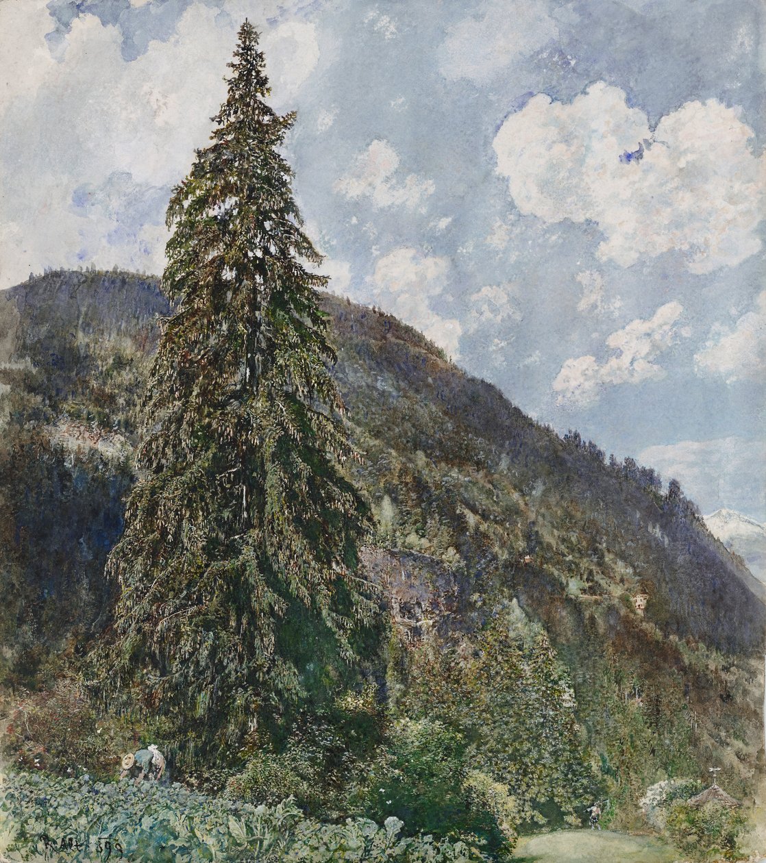 Stary świerk w Bad Gastein autorstwa Rudolf von Alt