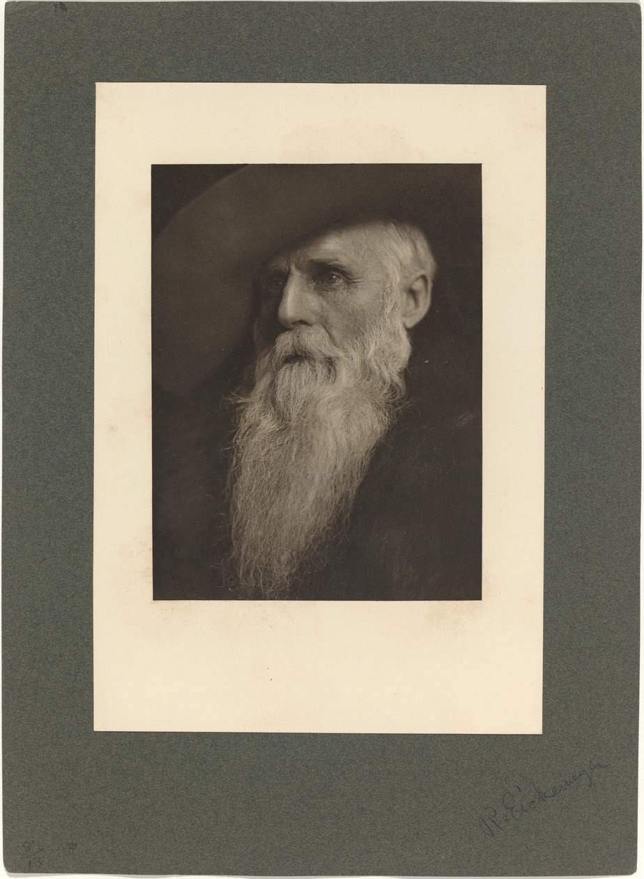 Ranchman, 1901. autorstwa Rudolf Eickemeyer Jnr