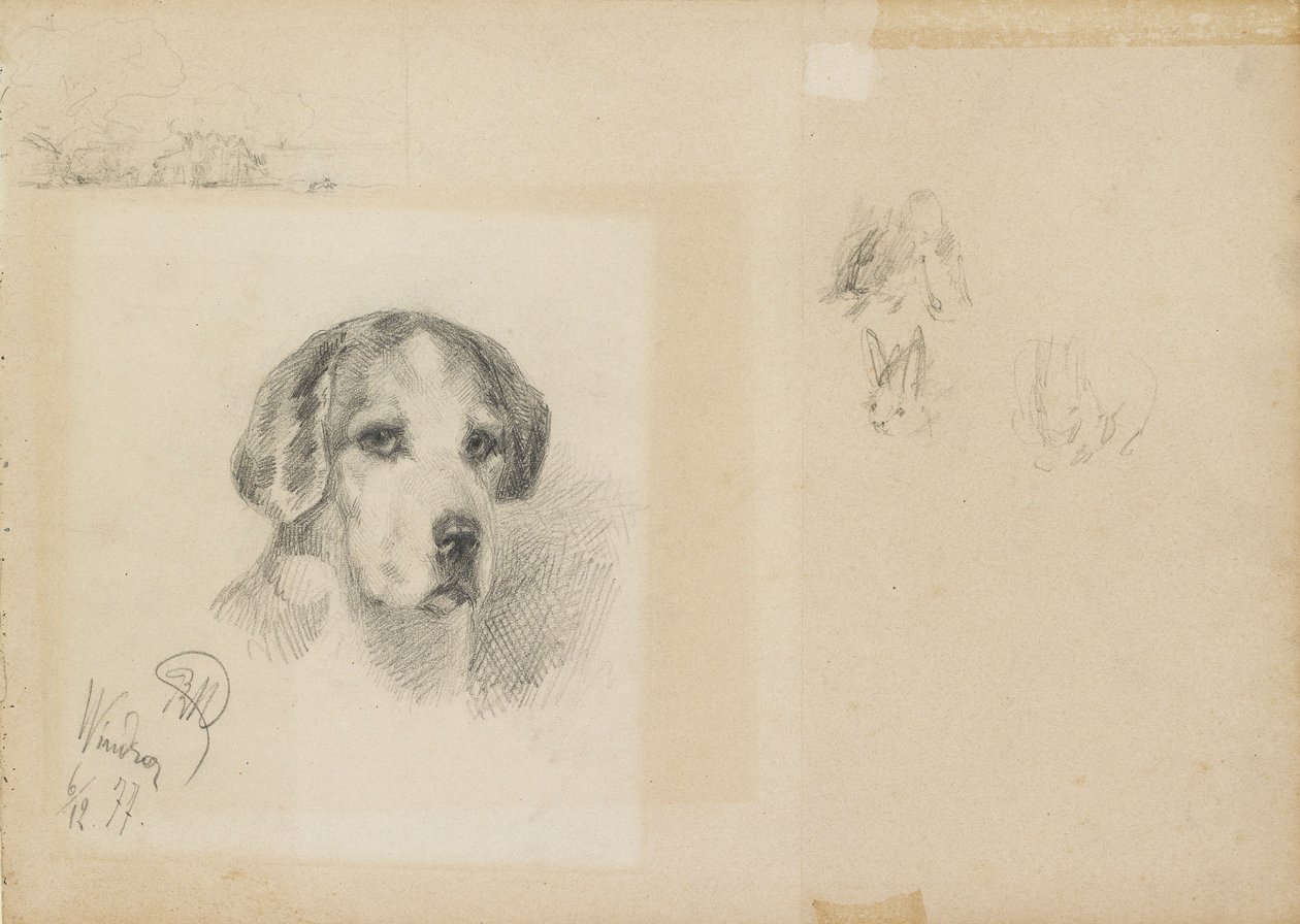 Portret psa: Windsor, 1877 autorstwa Rudolf Wimmer