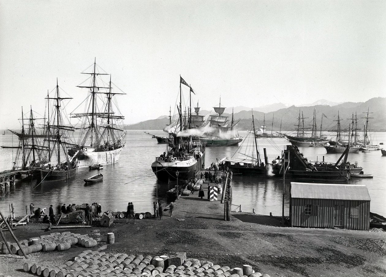 Wysyłka nad Newą, Petersburg, ok. 1880 r. autorstwa Russian Photographer