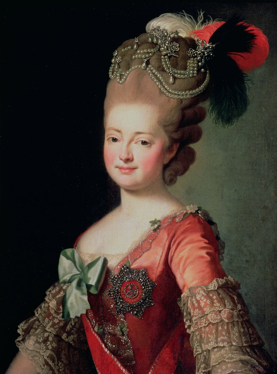 Мария Федоровнагийн хөрөг (1759-1828) поли autorstwa Russian School