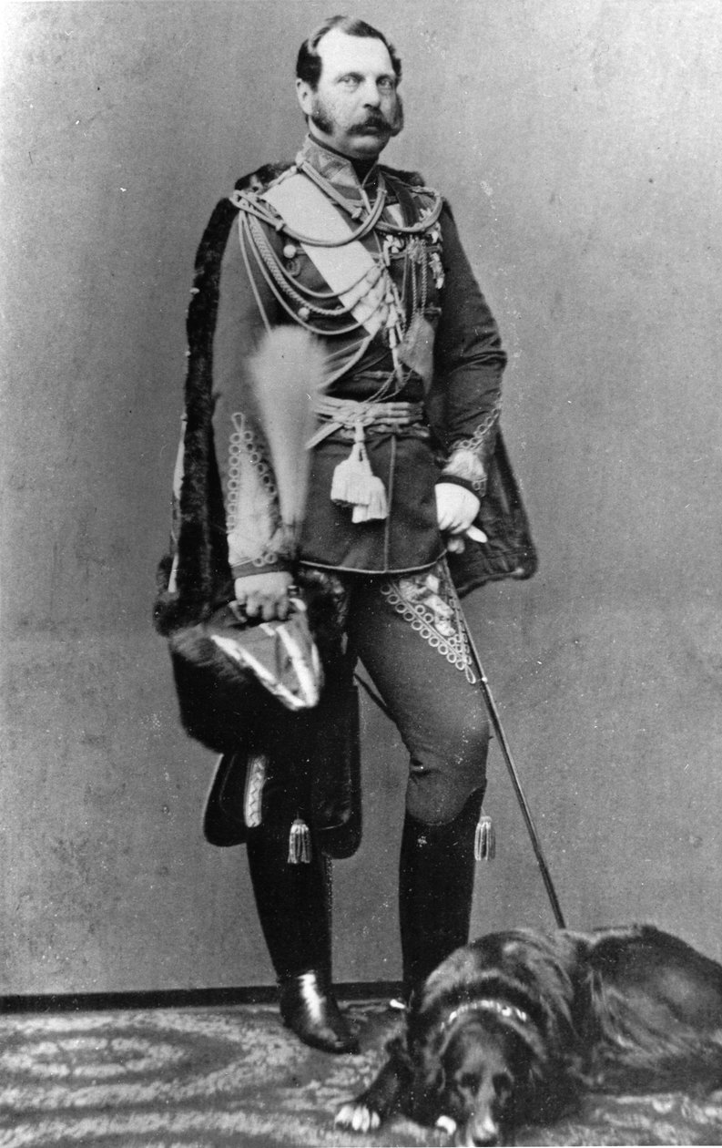 Portret cesarza Rosji Aleksandra II (Aleksandra II, Aleksandra Nikołajewicza Romanowa, Aleksandra II Nikołajewicza) (1818-1881). autorstwa Russian Photographer