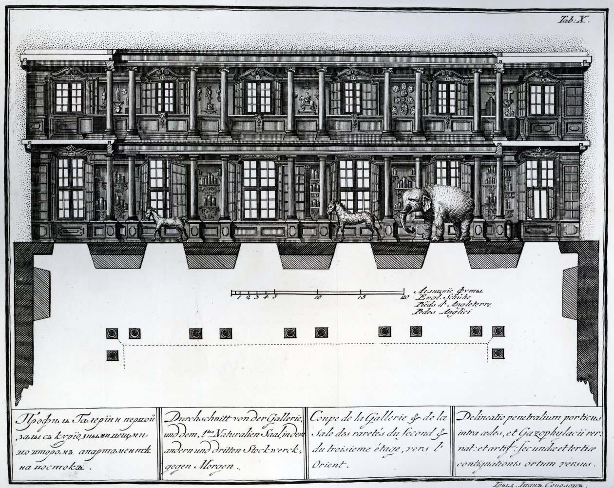 Przekrój drugiego i trzeciego piętra Sali Rarytasów, patrząc w kierunku wschodnim, ilustracja w Komnatach Biblioteki i Galerii Cesarskiej Akademii Nauk w Petersburgu przedstawiająca plany, Fac autorstwa Russian School