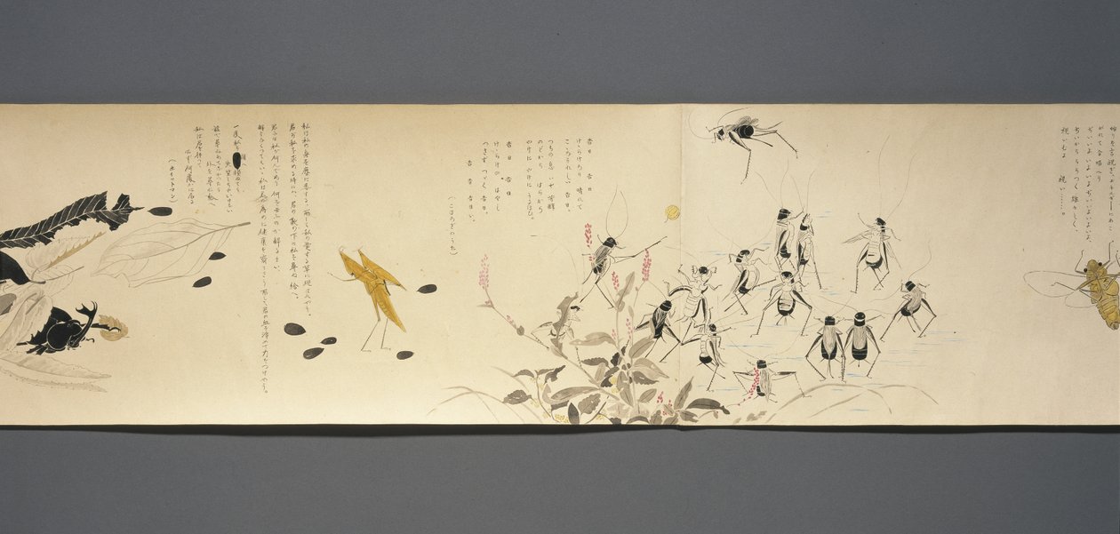 Wildlife Friends (Yasei no Tomo), okres Taisho, 7 rok Taisho, ok. 1918 (atrament i toaleta na tkanym papierze ozdobionym miką) autorstwa Ryoka Kawakami