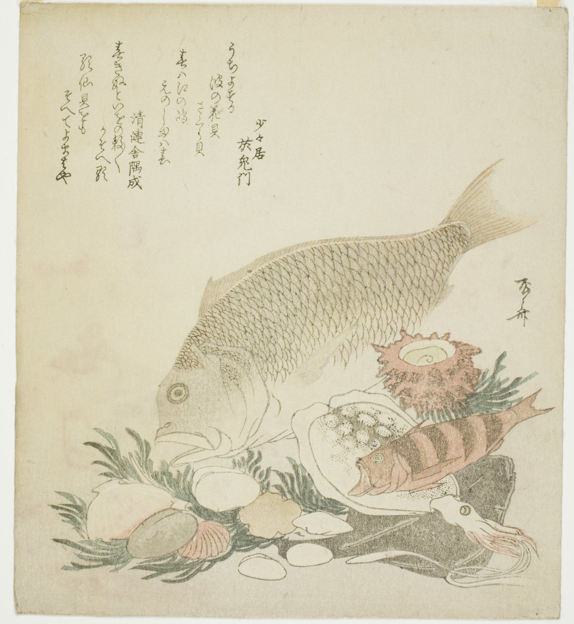Ryby i muszle autorstwa Ryuryukyo Shinsai