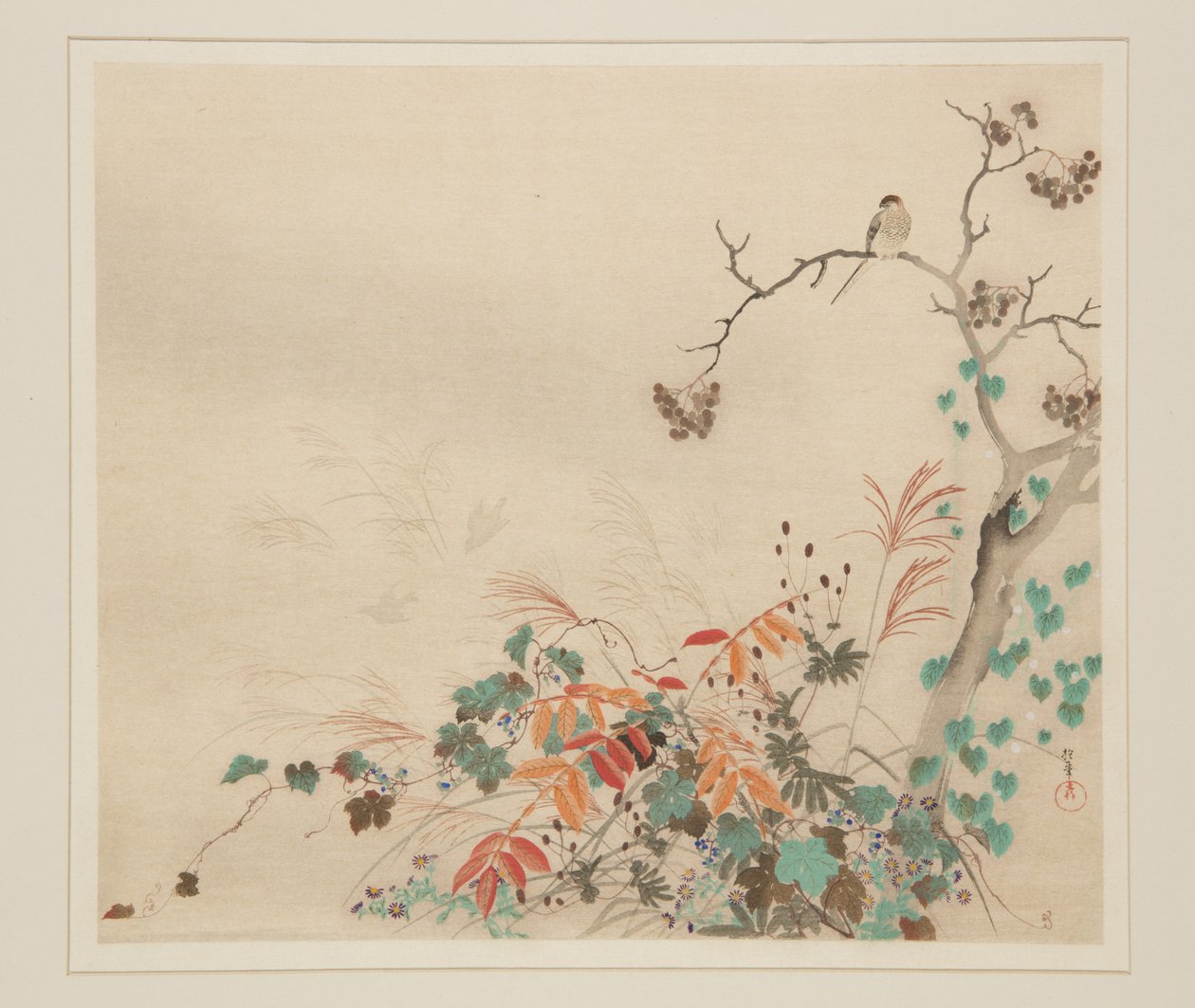 Hawk on Plants (kolorowy drzeworyt) autorstwa Sakai Hoitsu