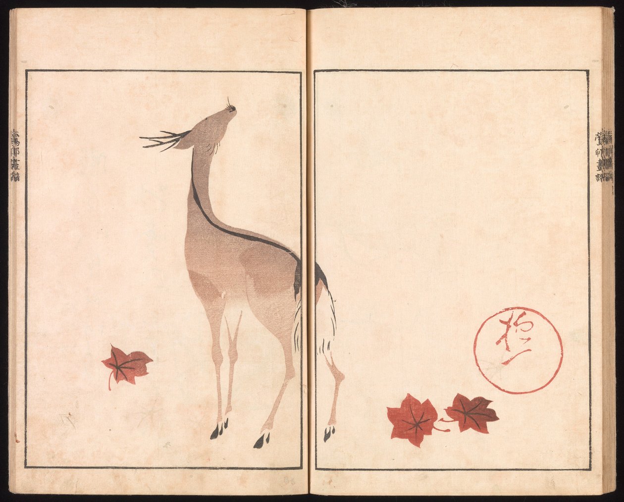 Album obrazów Ōson (Hōitsu) (Ōson gafu) autorstwa Sakai Hoitsu