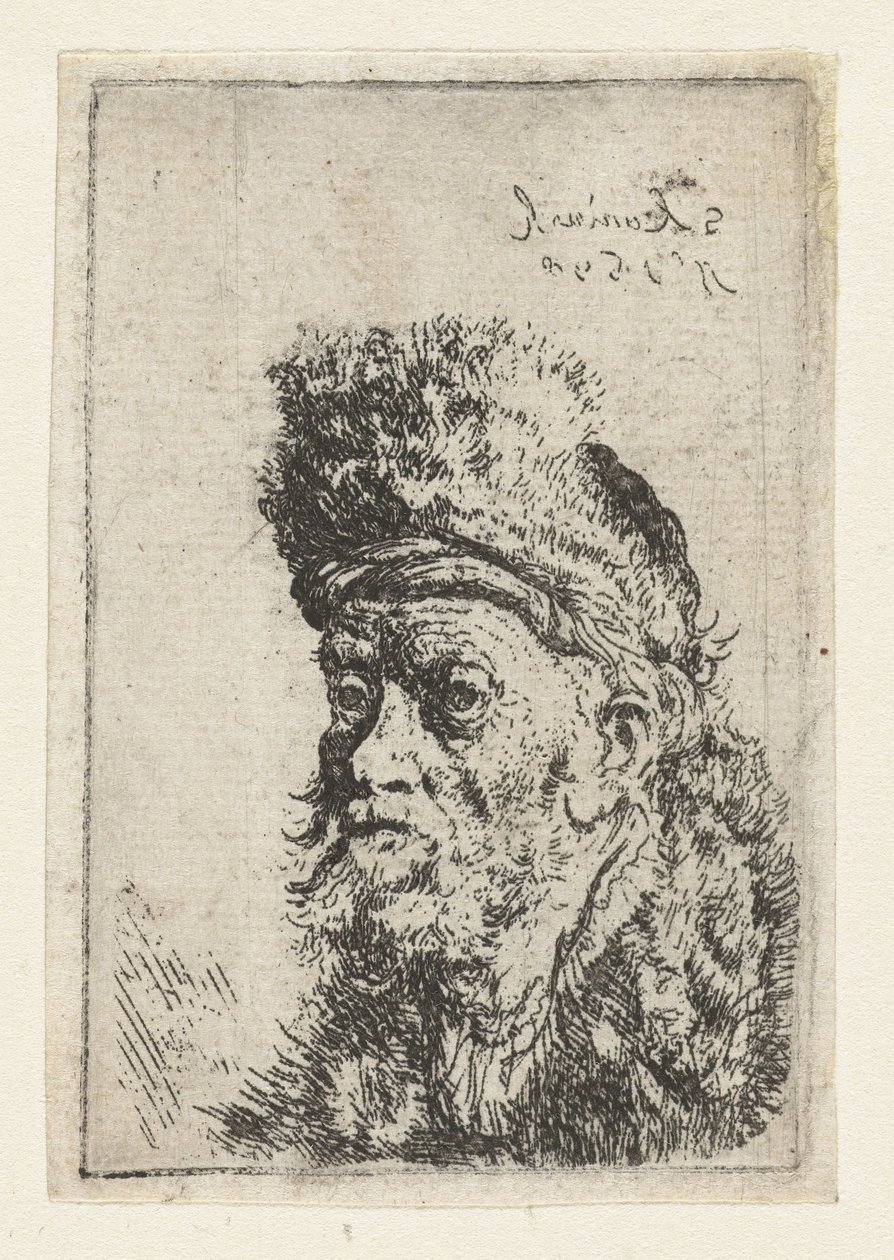 Popiersie mężczyzny w futrzanej czapce Popiersie mężczyzny w turbanie autorstwa Salomon Koninck