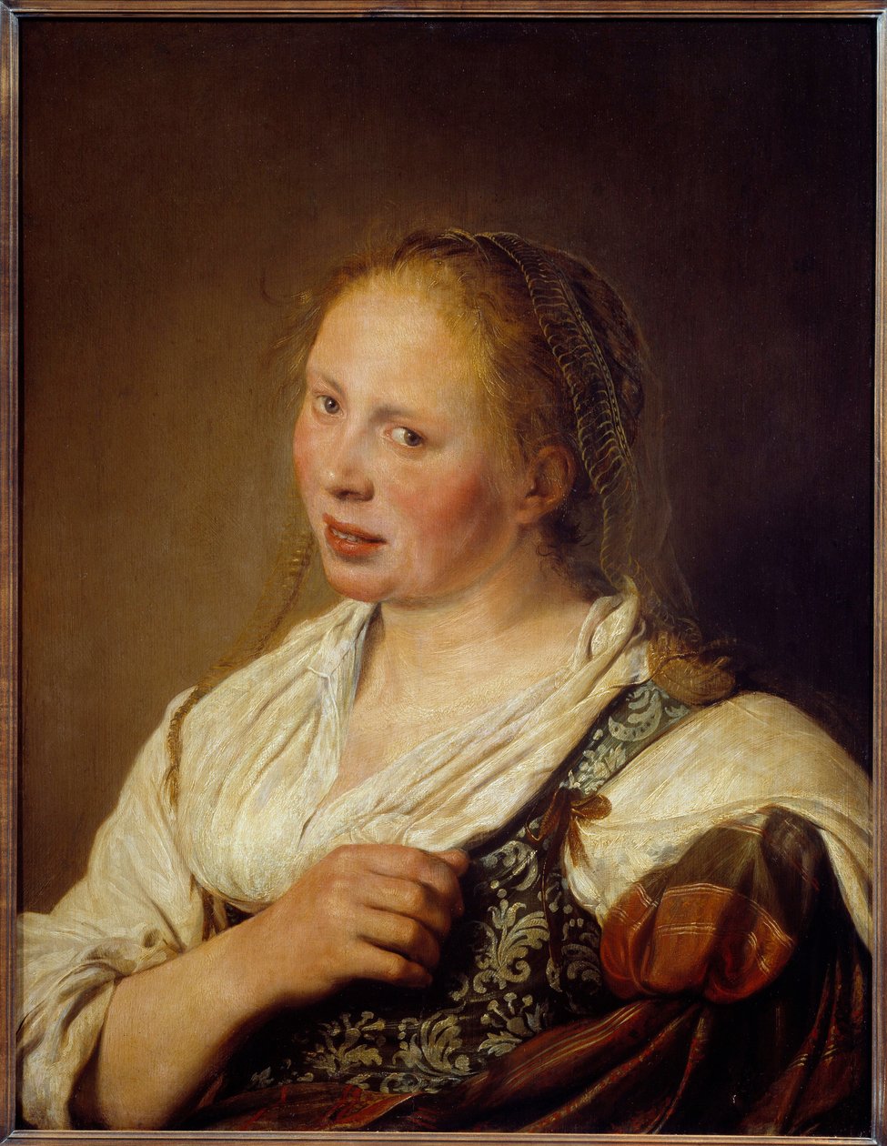 Portret młodego flamandzkiego chłopa Obraz Solomona de Bray (1597-1664) autorstwa Salomon de Bray