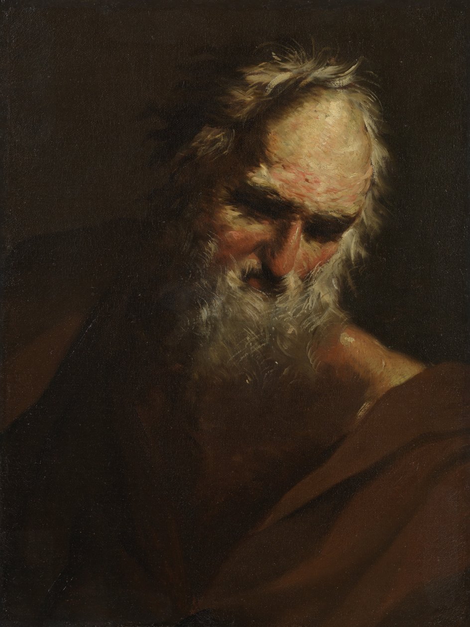 Głowa brodatego mężczyzny, ok. 1640-80 autorstwa Salvator Rosa