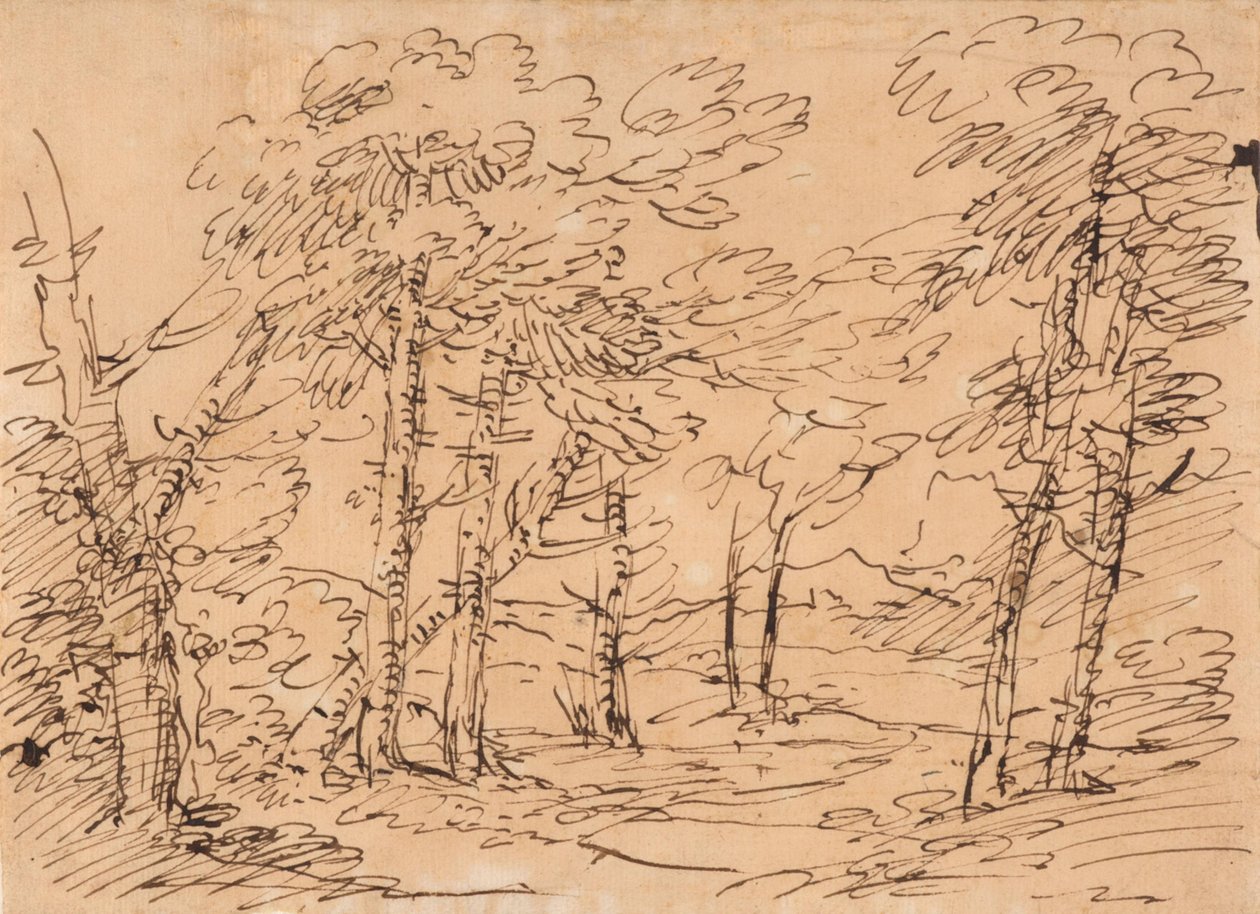 Pejzaż z drzewami i górami w tle autorstwa Salvator Rosa