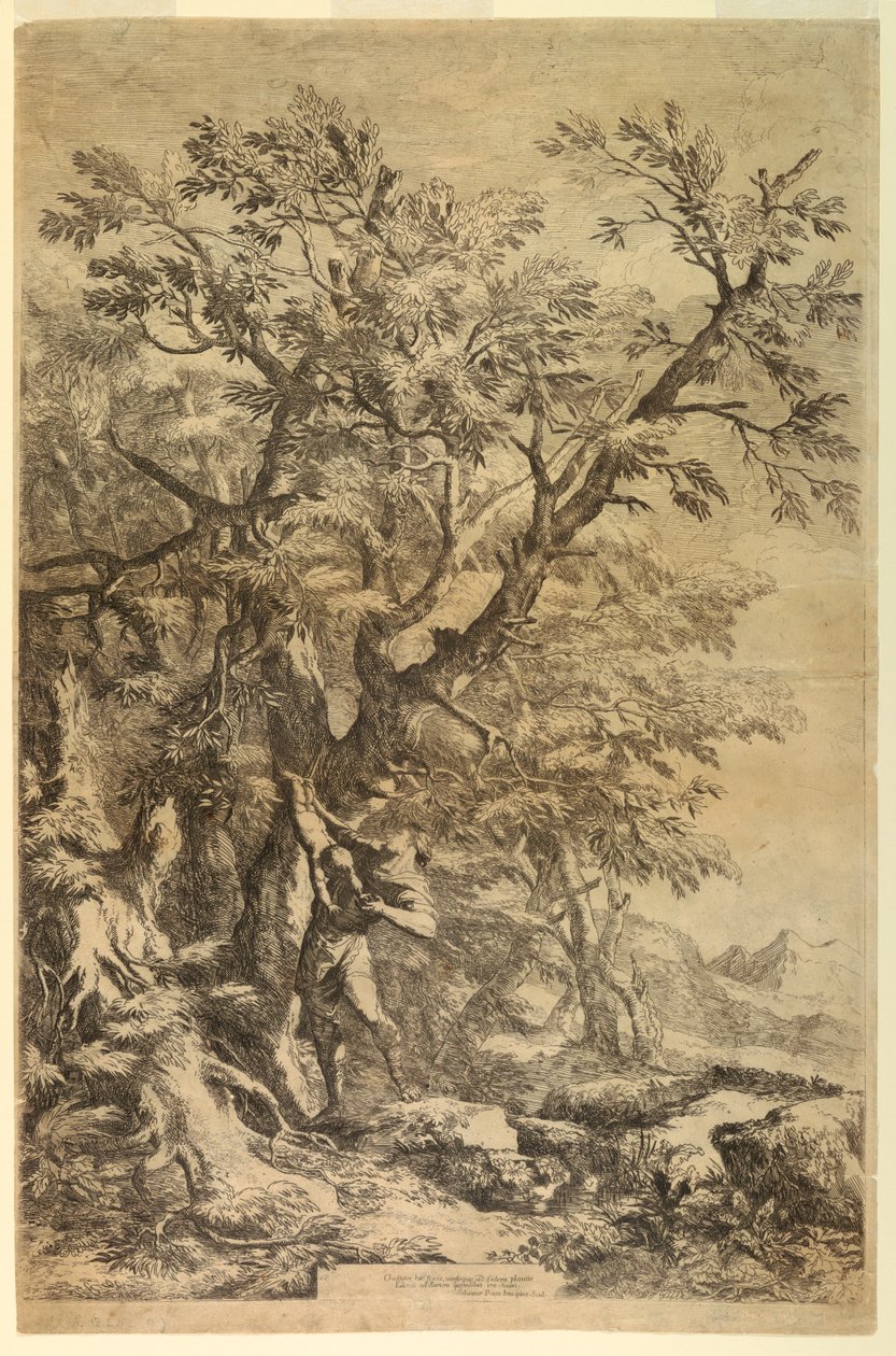 Edyp wystawiony na Górę Cithaeron autorstwa Salvator Rosa
