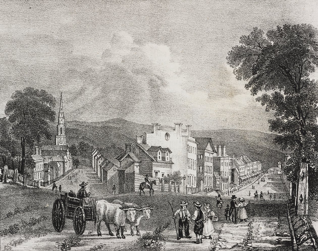 Widok Utica, Stany Zjednoczone Ameryki, litografia Salvatore Puglia z Poliorama Pittoresco, nr 49, 13 lipca autorstwa Salvatore Puglia