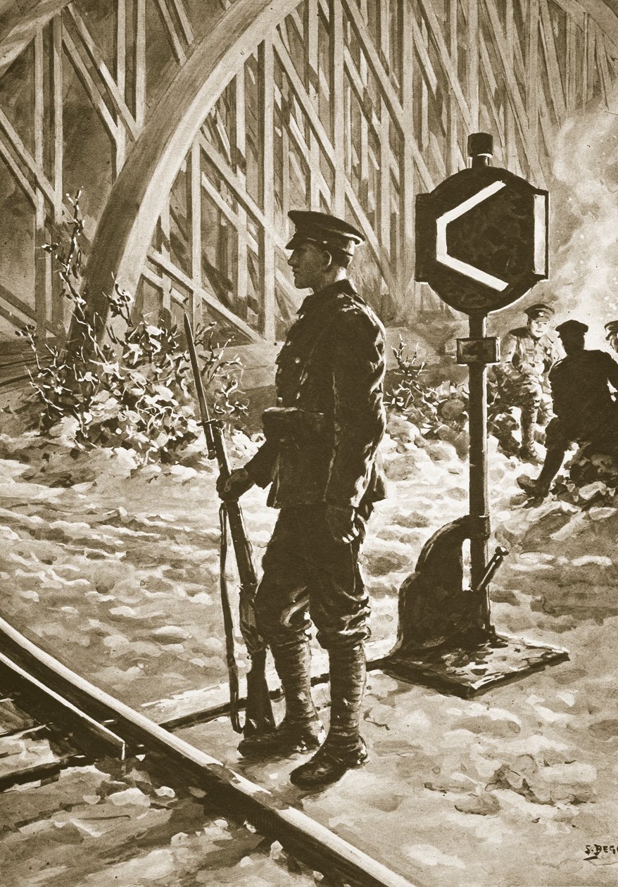 W Austrii po zawieszeniu broni, 1914-19 autorstwa Samuel Begg