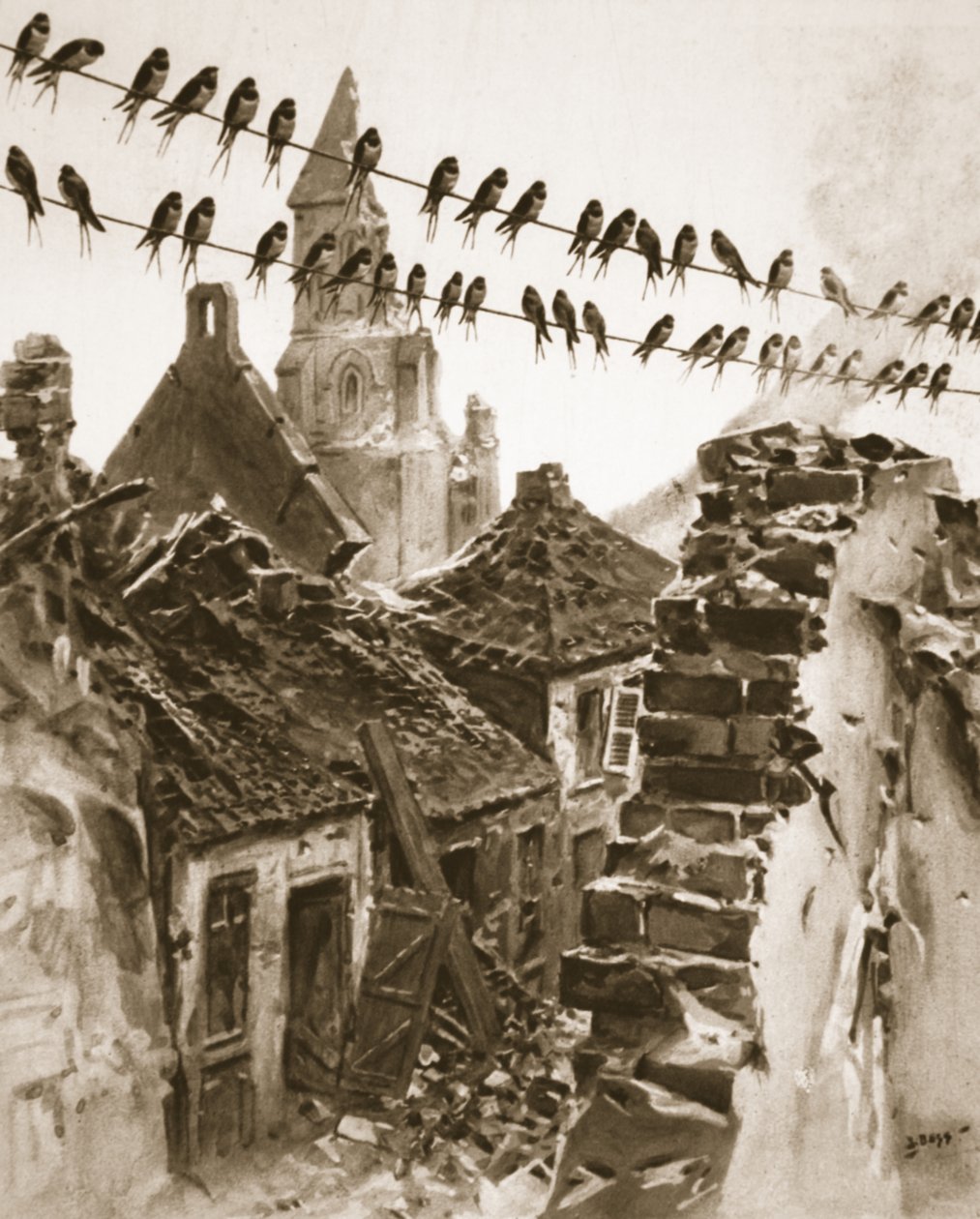 Soissons w czasie wojny: kongres jaskółek omawiających sprawy przed odlotem, ilustracja z "The Illustrated War News", 25 października 1916 r. autorstwa Samuel Begg