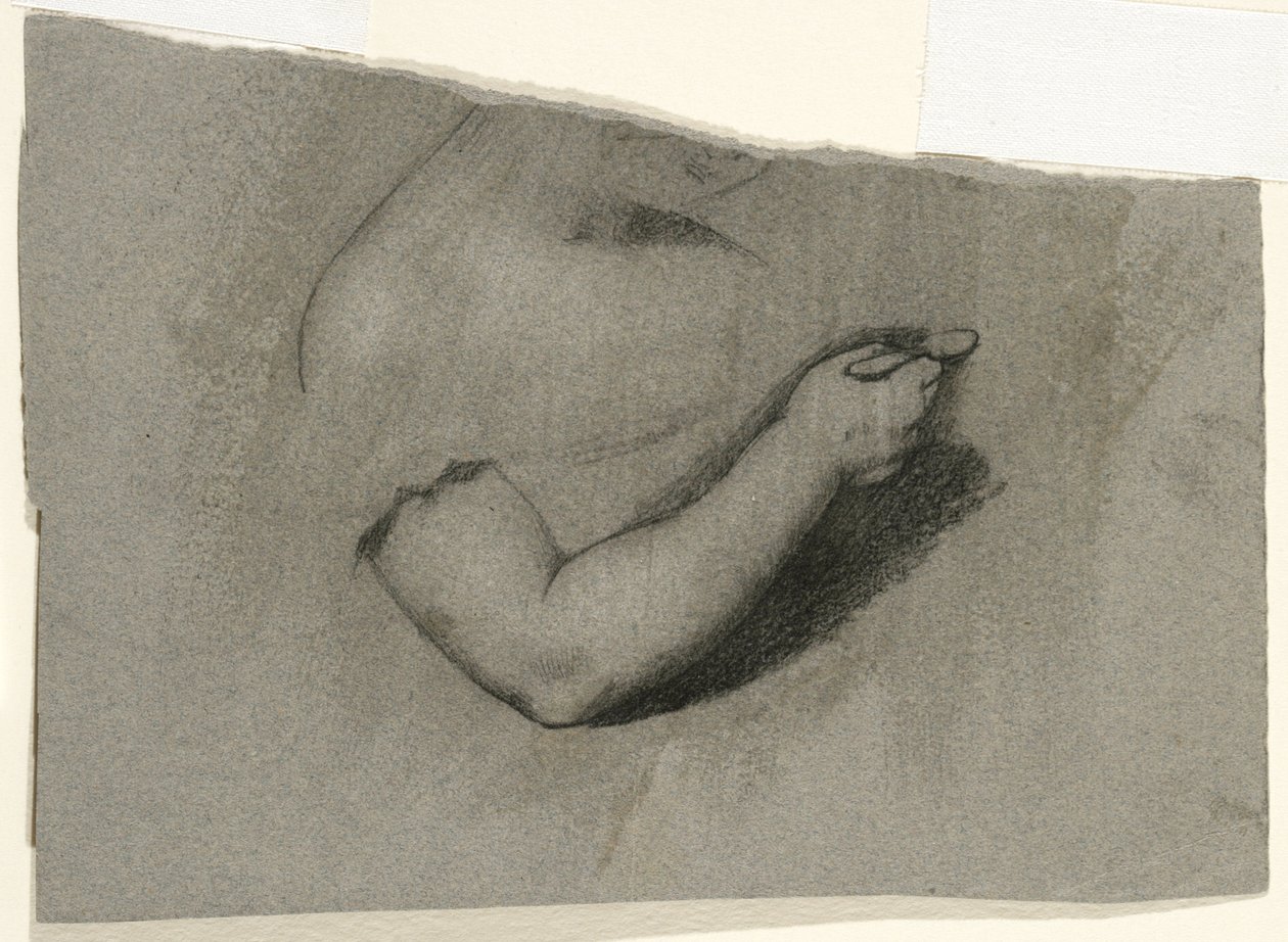 Studium do portretu Mary Hone, 1824 (węgiel i biała kreda na szarobrązowym papierze tkanym) autorstwa Samuel Finley Breese Morse