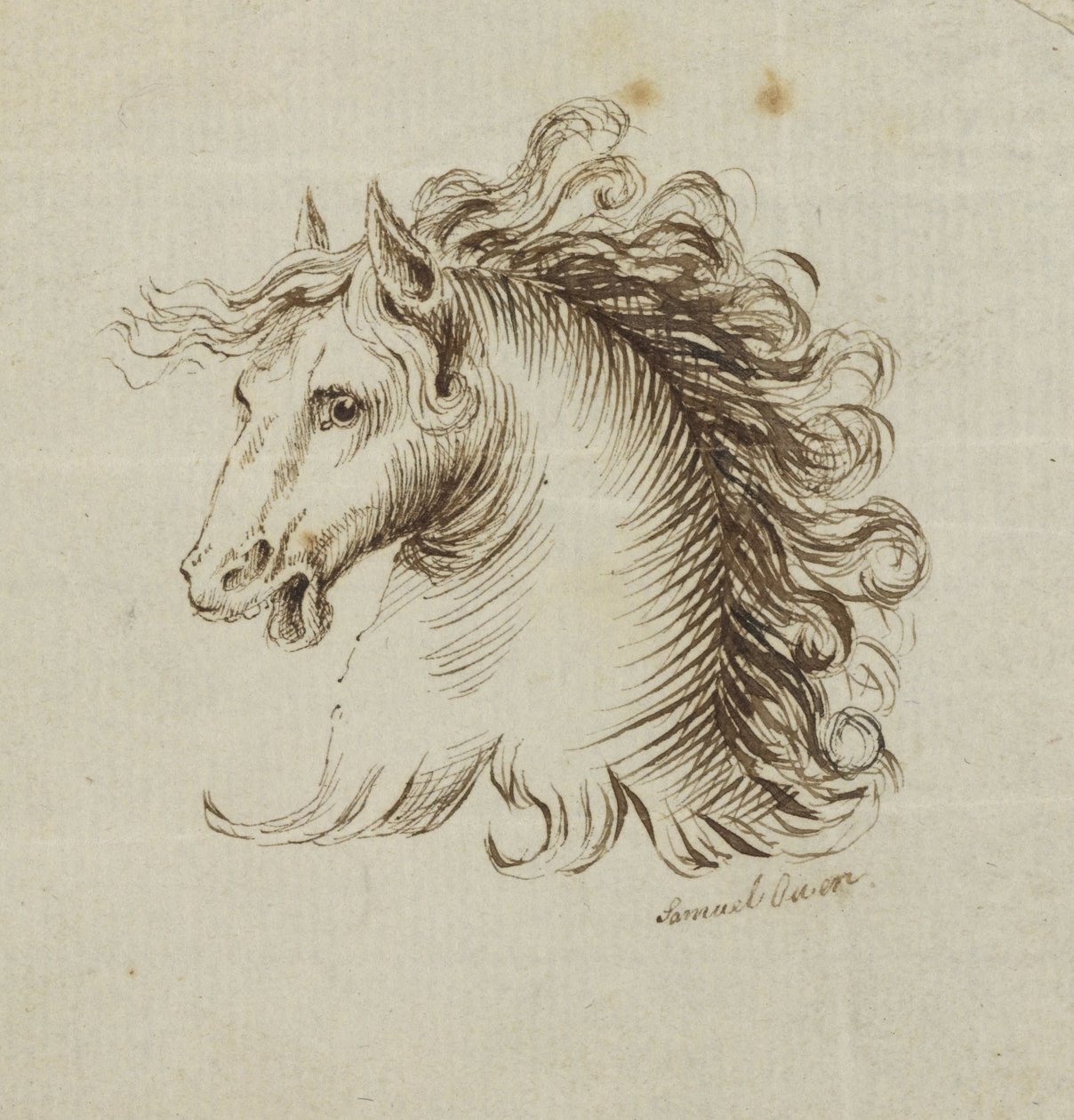 (Head of a Horse) autorstwa Samuel H. Owen