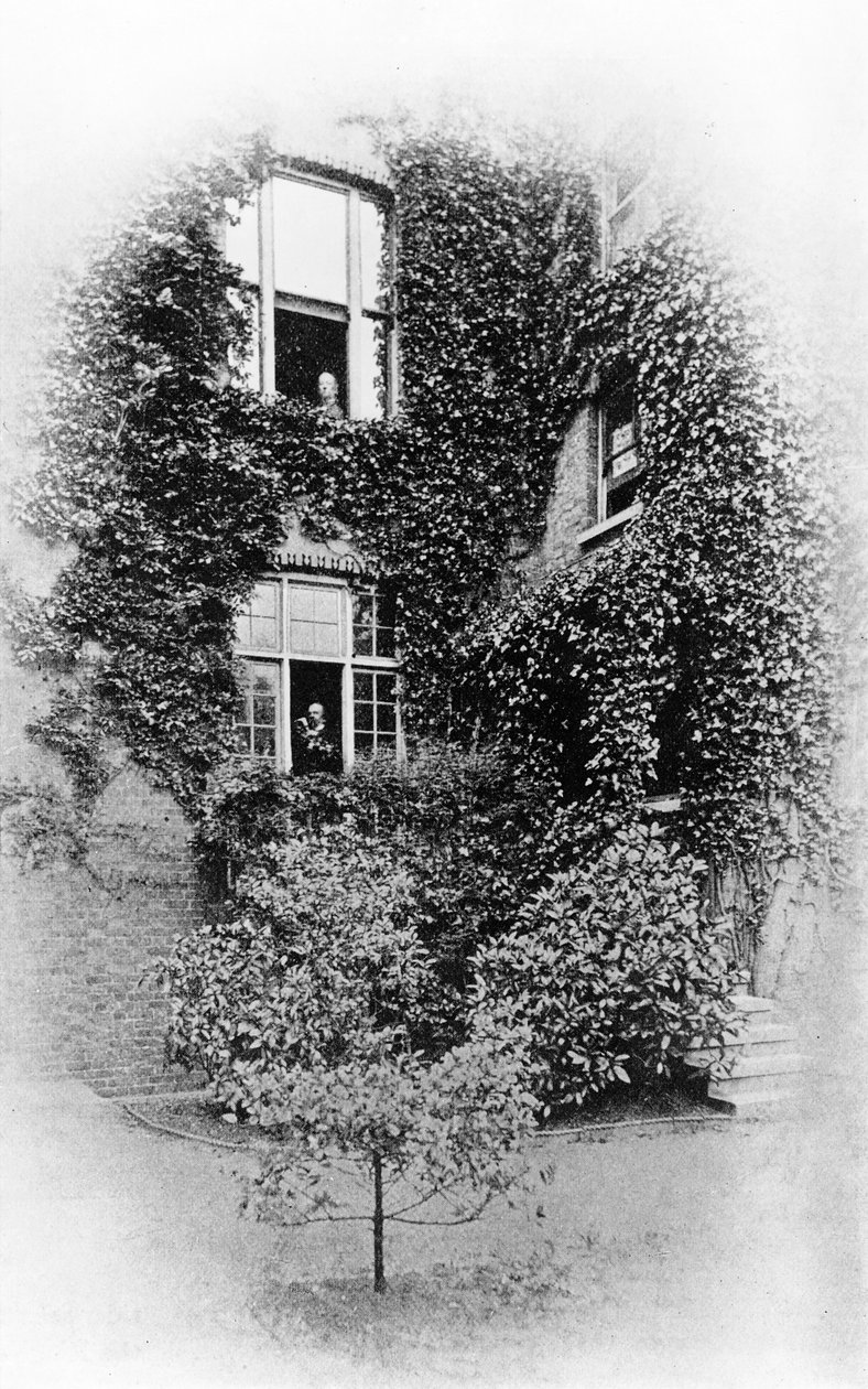 Lato w The Pines, dom Swinburnes w Putney, ok. 1900-09 (mc. zdjęcie) autorstwa Samuel James Poole