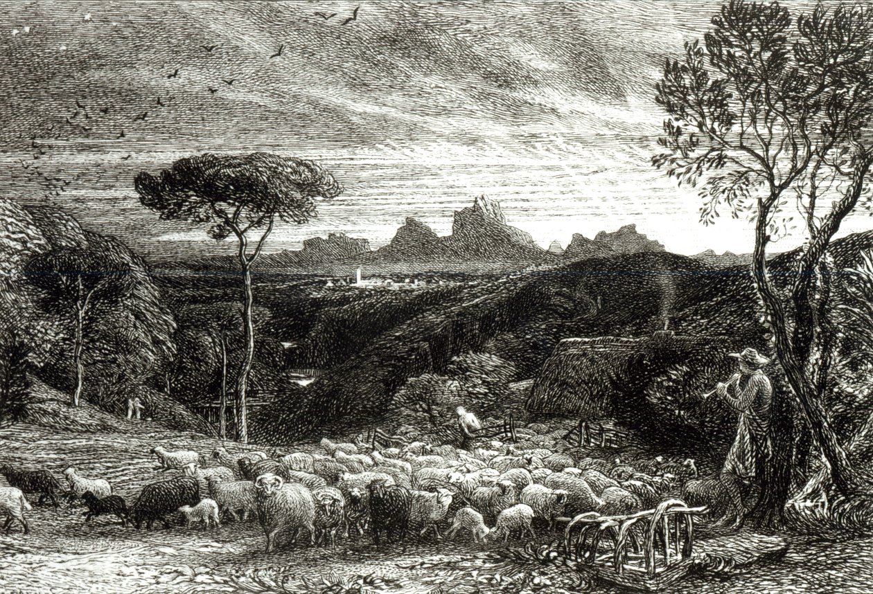 Otwarcie fałdy, wczesny poranek, 1880 autorstwa Samuel Palmer