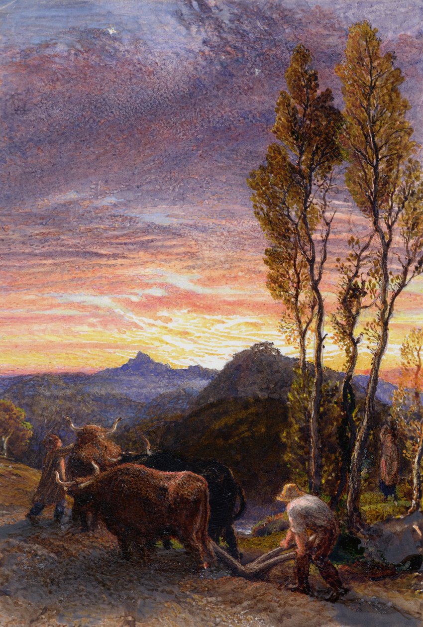Woły orka o zachodzie słońca autorstwa Samuel Palmer