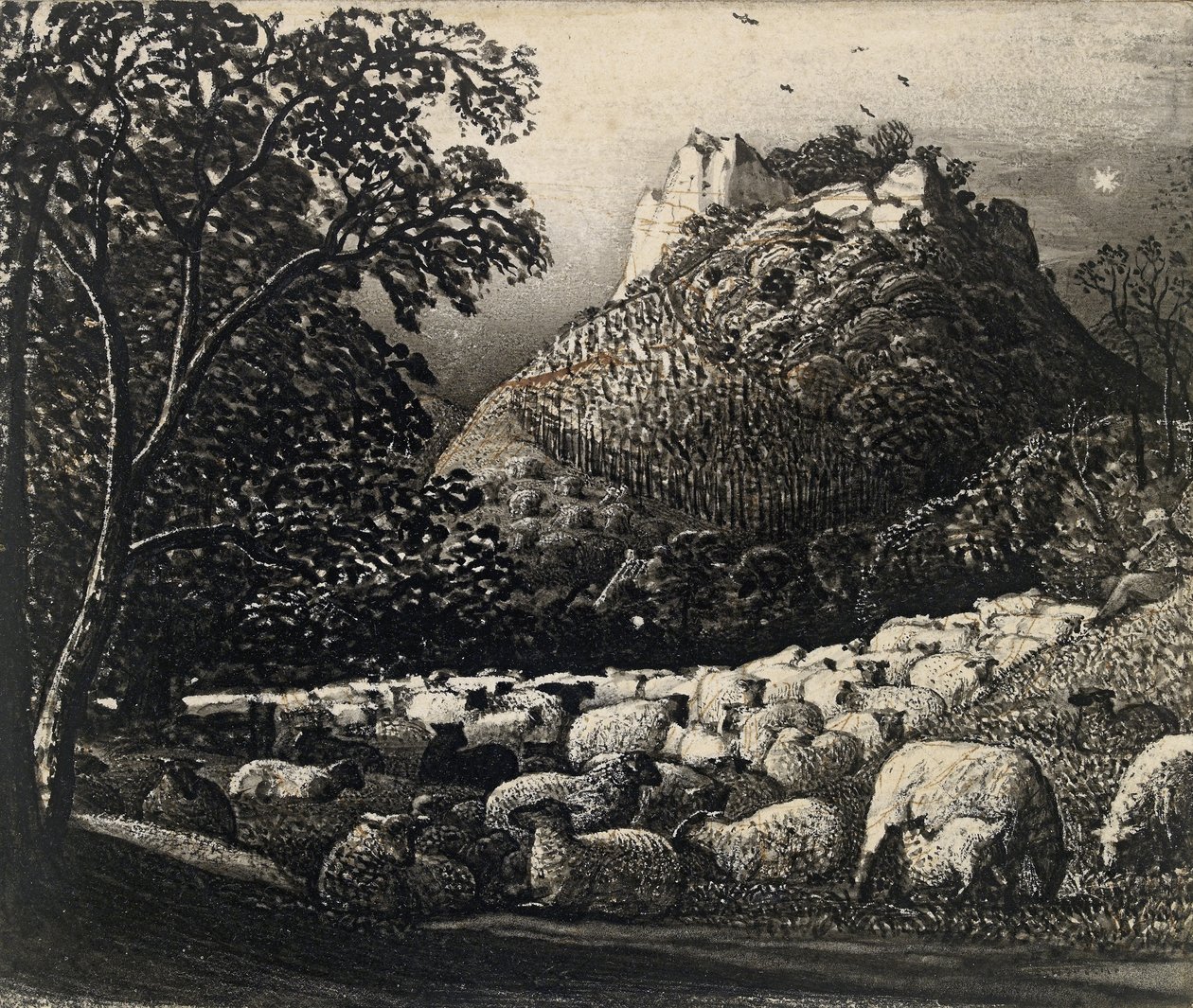 Stado i Gwiazda (pióro i pędzel w tuszu na ołówku i tuszu) autorstwa Samuel Palmer