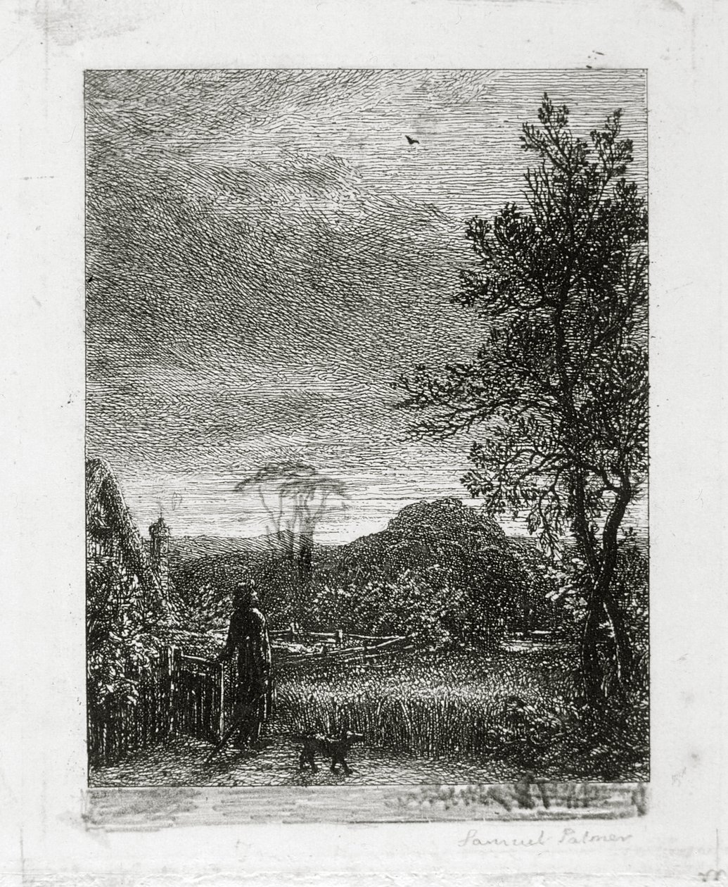 Skylark autorstwa Samuel Palmer