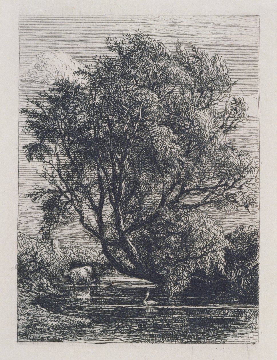 Wierzba autorstwa Samuel Palmer