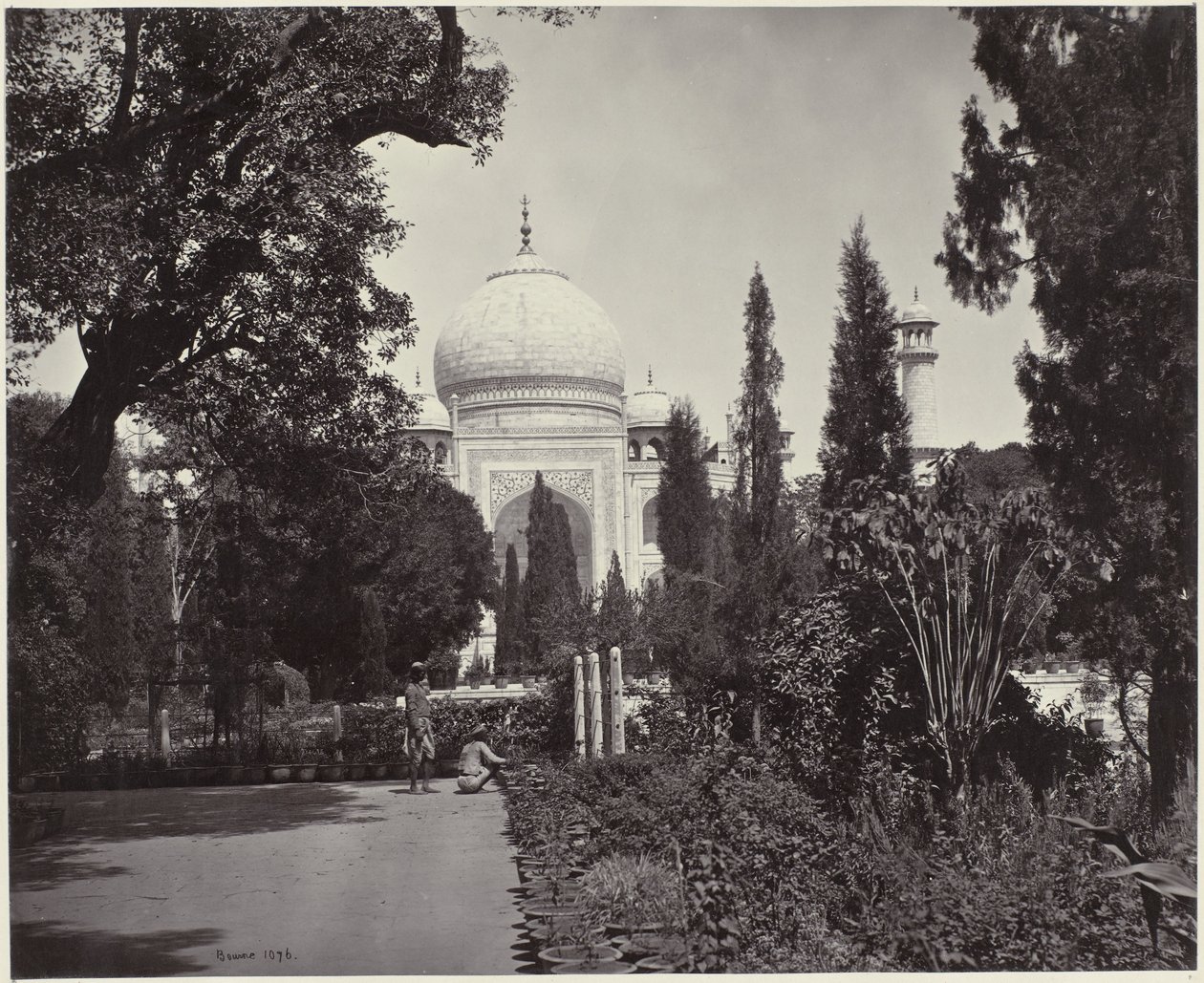 Widok na Taj Mahal i jego ogród Taj z ogrodu (tytuł oryginalny) Taj (tytuł na obiekcie) autorstwa Samuel Bourne (signed by artist)