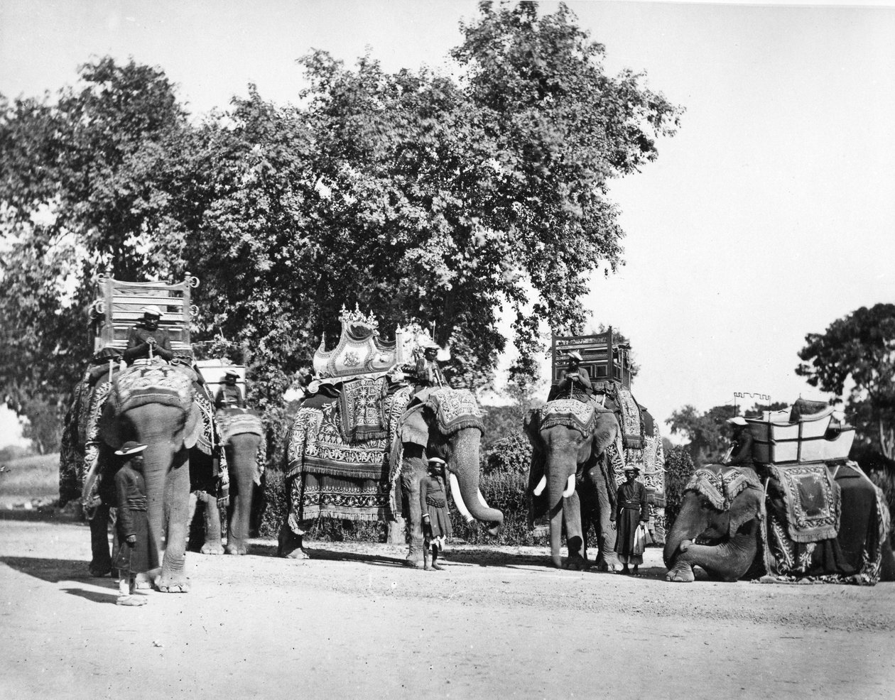 Grupa Słoni Wicekróla i ich państwowych pułapek, ok. 1860 r. autorstwa Samuel Bourne