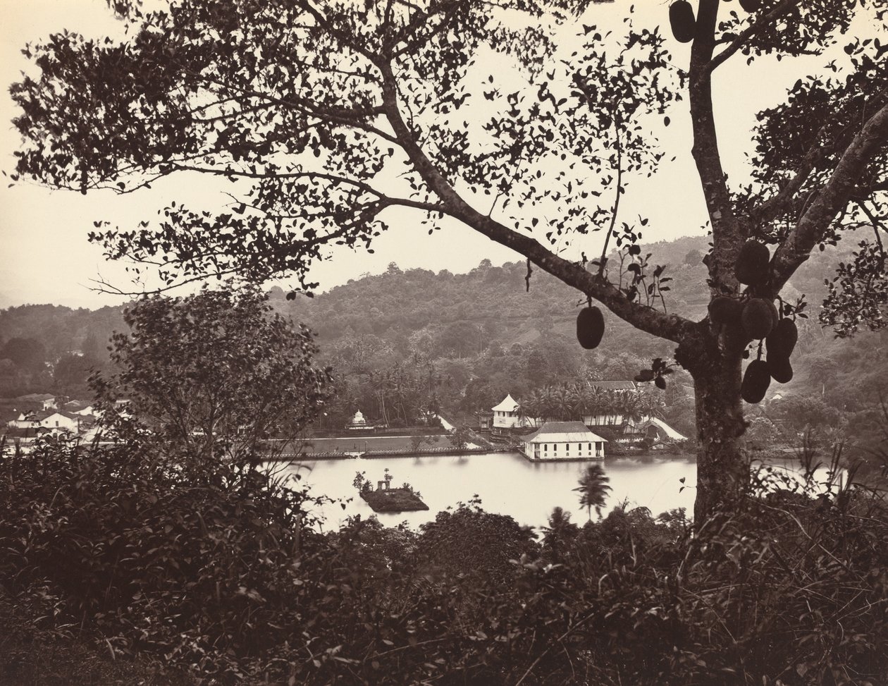 Widok z Upper Lake Road przedstawiający świątynię i wyspę z parkiem - drzewo owocowe na pierwszym planie, c1865. autorstwa Samuel Bourne