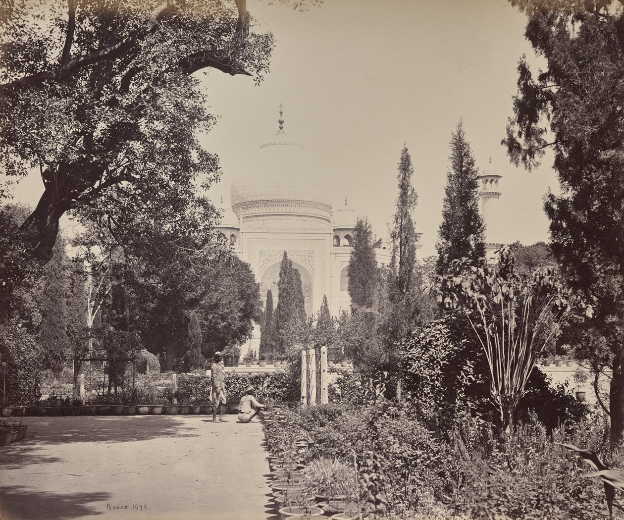 Agra. Widok na Tadź z ogrodu autorstwa Samuel Bourne