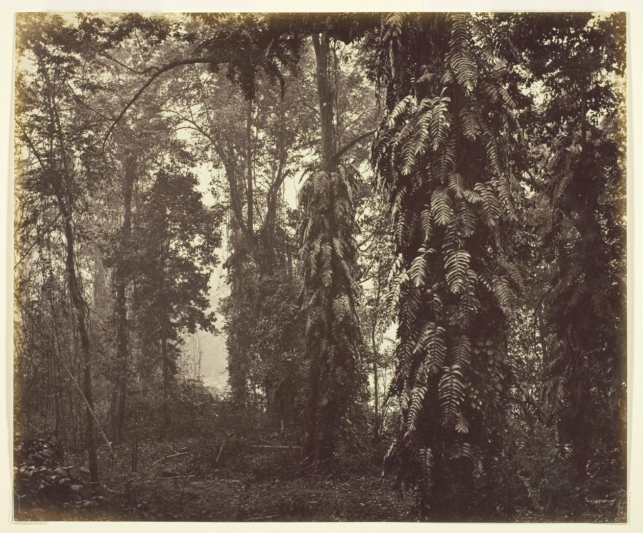 Darjeeling, Indie, ok. 1930 r. 1865. autorstwa Samuel Bourne