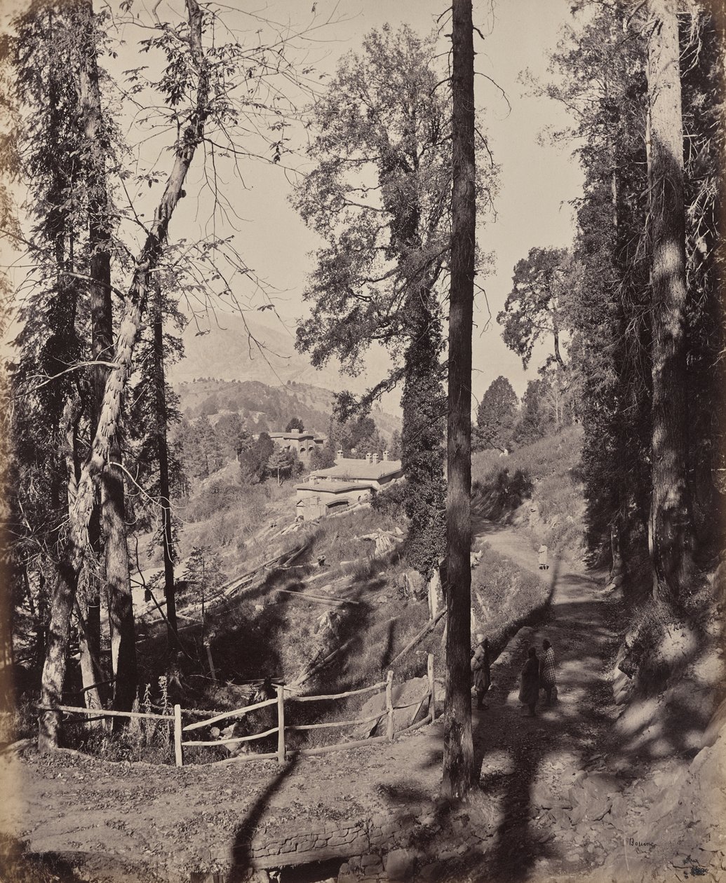Murree. Stacja górska w Himalajach, widok przez las autorstwa Samuel Bourne