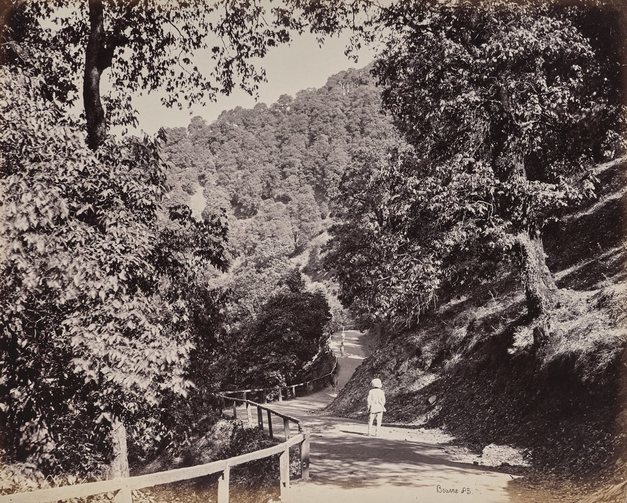 Shimla. Aleja Mall w pobliżu Rabq Lodge autorstwa Samuel Bourne