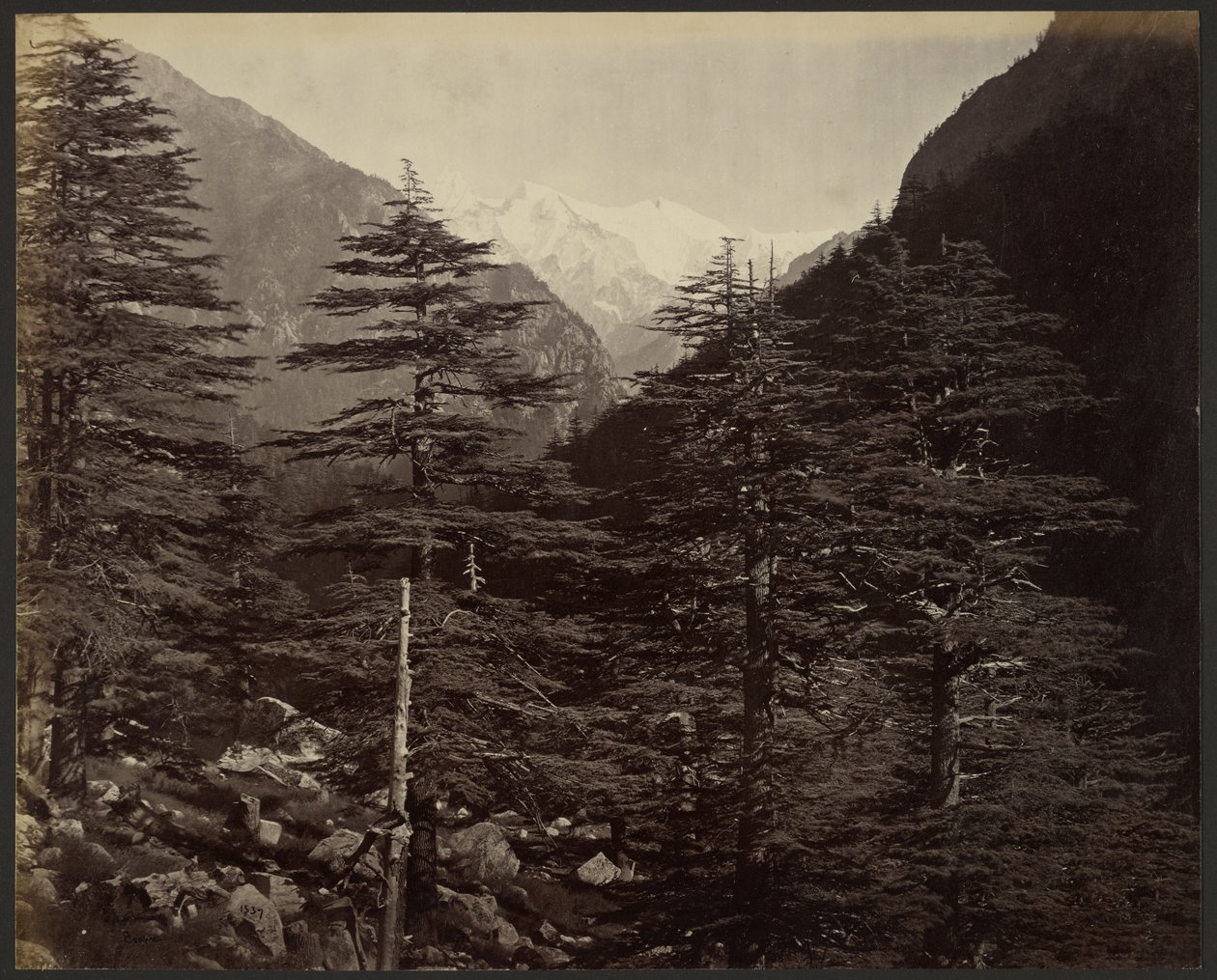 Ośnieżone szczyty w pobliżu Gangotri, z Bhairamghati autorstwa Samuel Bourne