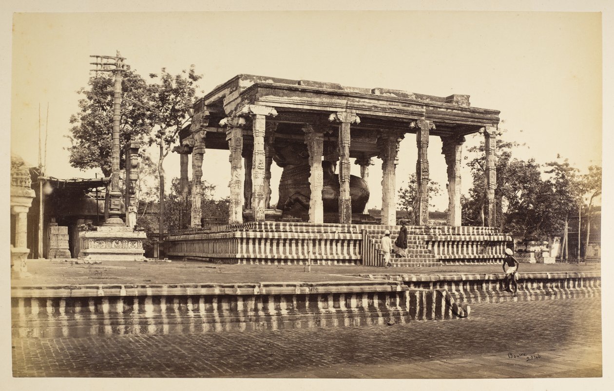 Wielki Kamienny Byk, Tanjore autorstwa Samuel Bourne