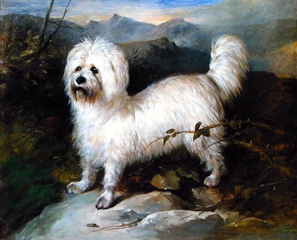 Mały biały pies w krajobrazie (olej na płótnie) autorstwa Samuel Coleman