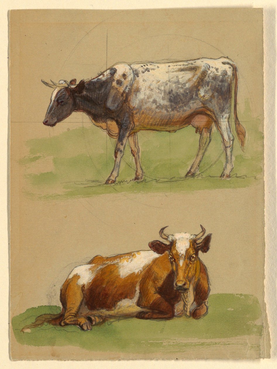 Rysunek, bydło, krowa idąca i krowa przykucnięta, 1875-80 autorstwa Samuel Colman