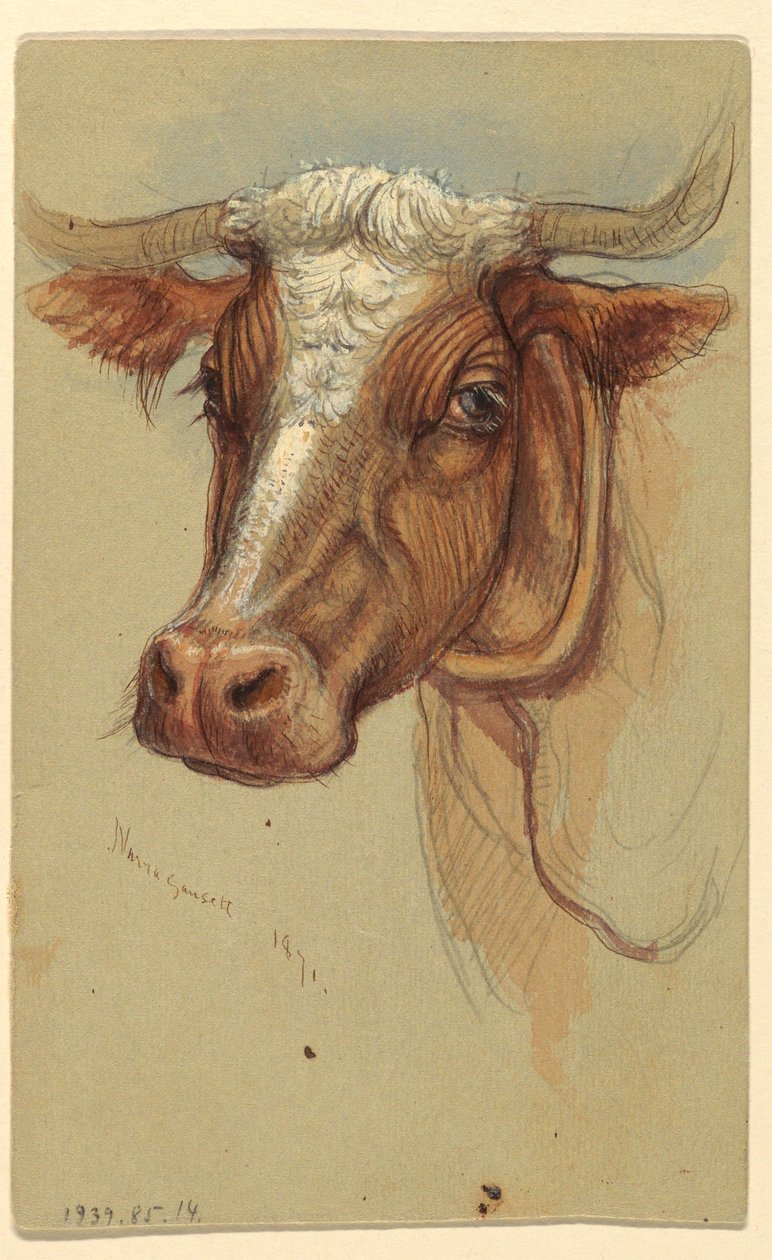 Rysunek, Szkice z Narragansett, Rhode Island, 1871 r. autorstwa Samuel Colman