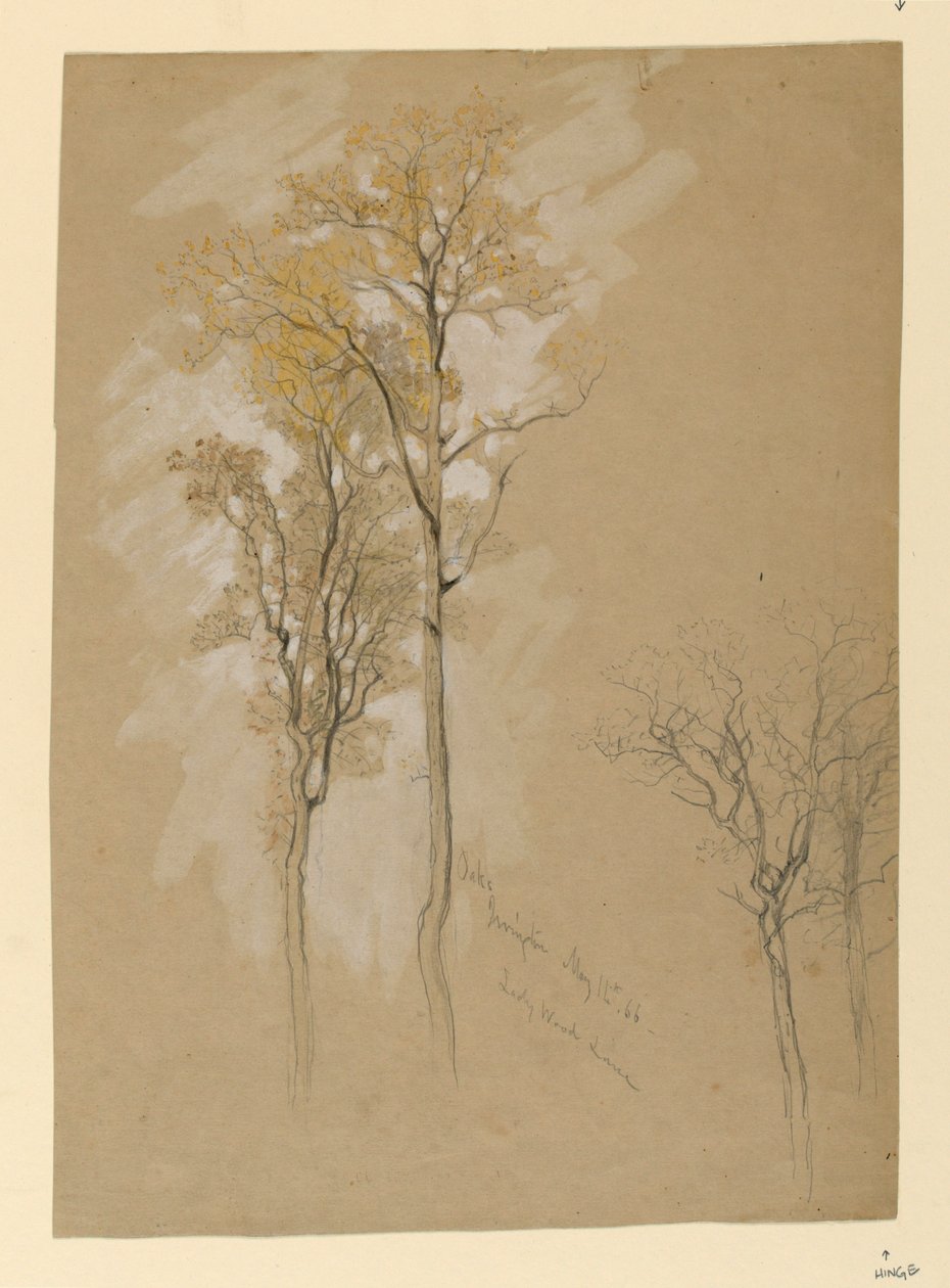 Oaks, Lady Wood Lane, Irvington autorstwa Samuel Colman