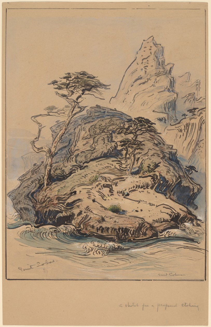 Point Lobos, Kalifornia autorstwa Samuel Colman