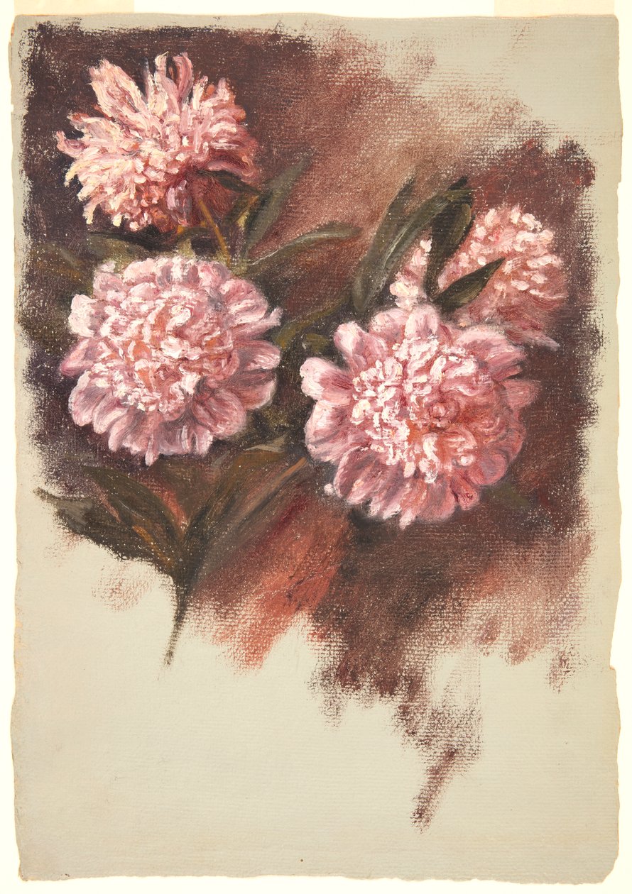 Czerwone piwonie autorstwa Samuel Colman