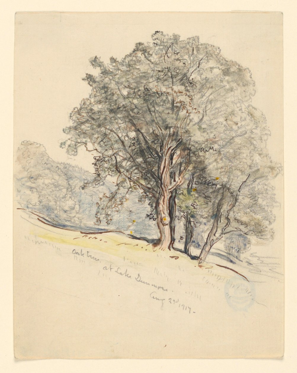 Badanie dębów nad jeziorem Dunmore, Vermont autorstwa Samuel Colman
