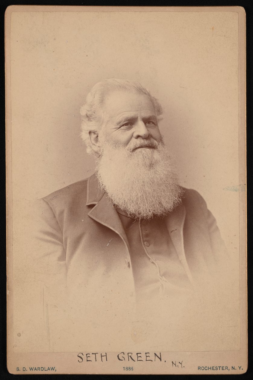Portret Setha Greena 1817-1888, 1886. autorstwa Samuel D Wardlaw